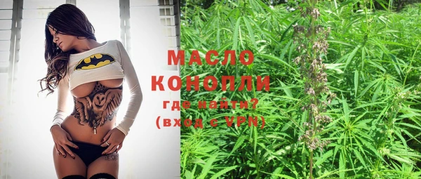 МДПВ Дмитриев