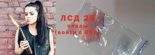 гидра Гусев