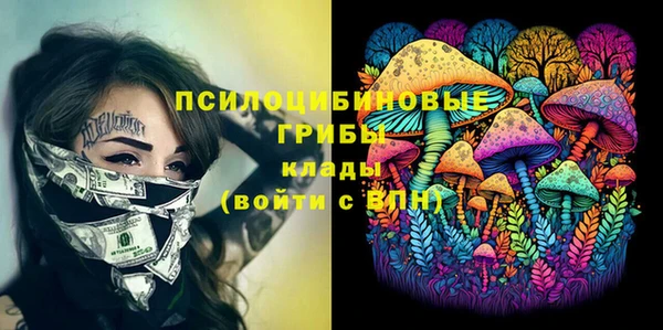 МДПВ Дмитриев