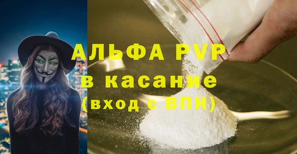 гидра Гусев