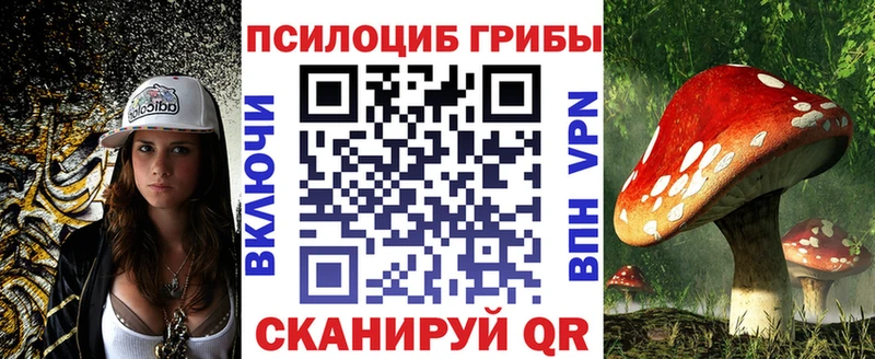 дарнет шоп  shop какой сайт  Псилоцибиновые грибы Psilocybe  Болгар  МЕГА ссылка 