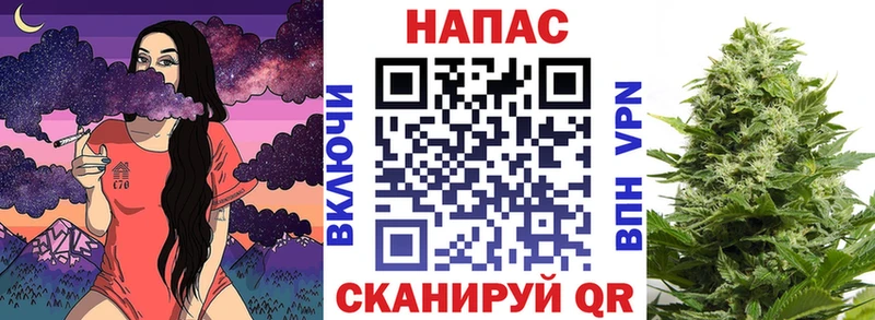 Каннабис планчик  как найти   Болгар 